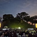 경주 봉황대 뮤직스퀘어 후기, 한여름 밤을 수놓은 무료 야외 콘서트