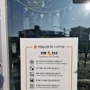 커피나무79 - 115507 | 커피나무79