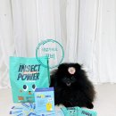 인섹트 파워 이미지