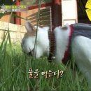 상귀농장 이미지