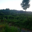 대안농장 이미지