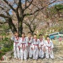 경희대무궁화태권도장 이미지