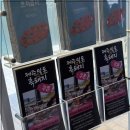 (주)엔젤렌터카 | 여름휴가 시즌 제주도 가성비 렌터카를 찾는다면 엔젤카 아반떼 추천!