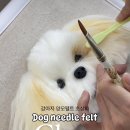 양모아네뜨