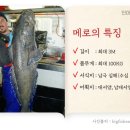 메로