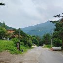 언별1리 이미지