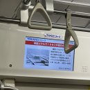 여주-0051 | 혼자 도쿄 여행 中