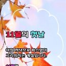 무괴아심 이미지