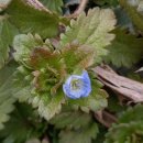 구불3길(큰들길) 이미지