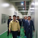 디에스21 이미지