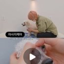 꼼꼼하개 이미지