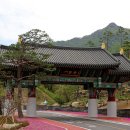 산청 동의보감촌 이미지
