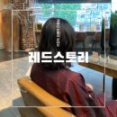 회룡 | 의정부 복구 클리닉 잘하는 미용실 :: 레드스토리 회룡점 모발 관리 후기