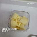 피시토랑 | 5월 둘째 주 일상 기록