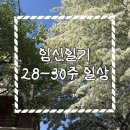 서초교통(주) | 임신 28-30주 일상 | 셋 되기 전 마지막 여행, 숨쉬기도 힘든 임신 후기