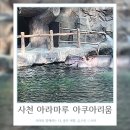 아라농장 | 사천 아라마루 아쿠아리움 동물원 하식이 관람시간 추천
