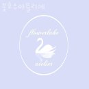 꽃호수아뜰리에 이미지