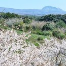 월산목장 이미지