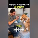 "내 말 알아듣겠니?" 댕댕이, 냥이가 알아듣는 놀라운 동물번역 앱의 신세계... 이제 애완동물과 대화가능한 시대가 왔다!!! 이미지