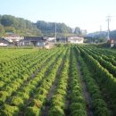 저전리경로당 이미지