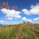 천성산 이미지
