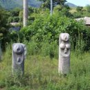 영월화석박물관 이미지