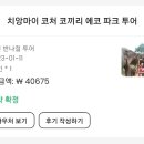 코끼리투어 이미지
