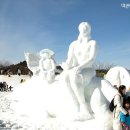 전나무목장 이미지