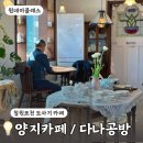 거북이공방 오픈데이 | 철원 동송 도자기 원데이클래스│관인 양지카페 다나공방 체험 후기