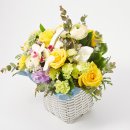 금호농원 이미지