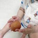 정란축산 이미지