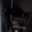 센텀동로 이미지