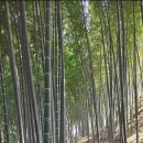 이윤호행정사무소 이미지