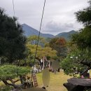 11월펜션 | 거제도 소낭구펜션 11월 초 겨울 야외웨딩 하객후기