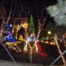 해맞이행사장 이미지