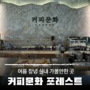 창한로 | 여름 창녕 여행 실내 가볼만한곳 커피문화 포레스트 카페