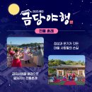 2025 금당야행 이미지