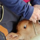 입석한우농장 이미지