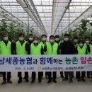 세종농장 이미지