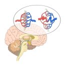 브니엘노인전문병원 이미지