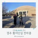 여주-1080 | 추워도 신나고 흥미 있는 경주 여행 황리단길 주차장 요금 천마총 후기