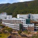 영산대학교 이미지