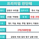 프리미엄안단테 이미지