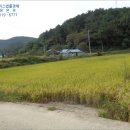 도전리 마을회관 이미지