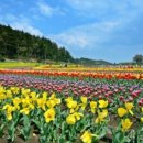 남해 그곳 이미지