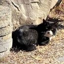 교동면옥 안동옥동점 이미지