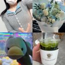 (집)세븐일레븐 광명토피아점 | 3월 둘째주 포토 다이어리 (♡ ing)