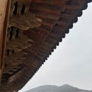 줄포만하 이미지