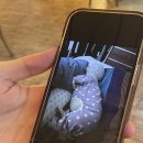 인형뽑아죠! 이미지