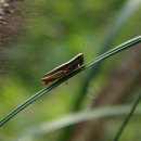 팔공산올레길 8코스 이미지